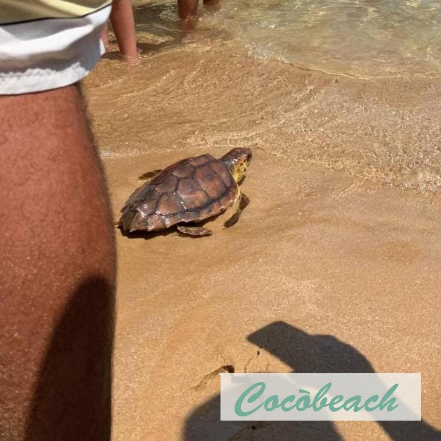 아볼라 Fronte Mare 아파트 외부 사진